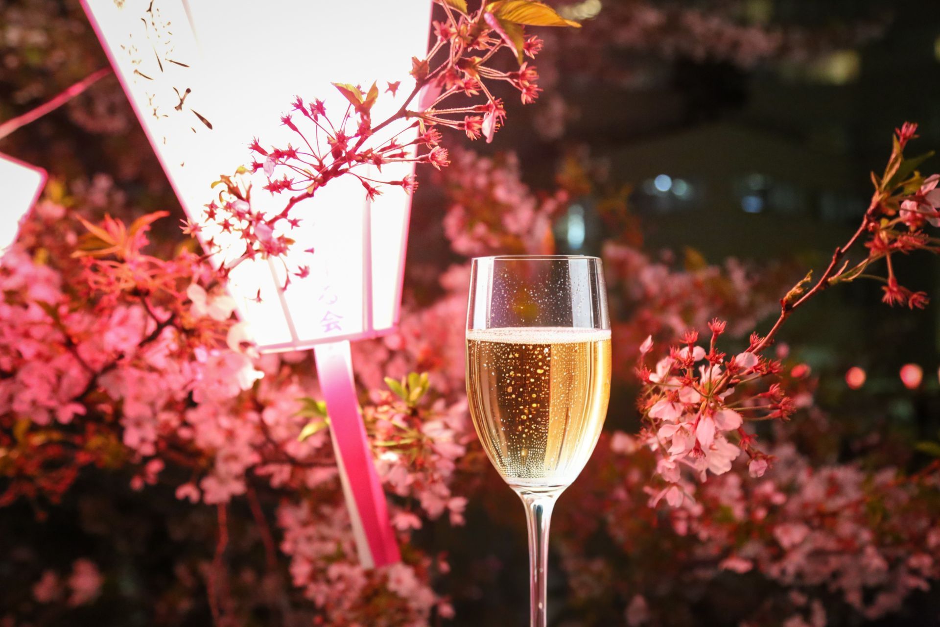 Sylwester na Mazurach – pobyt z Balem Sylwestrowym