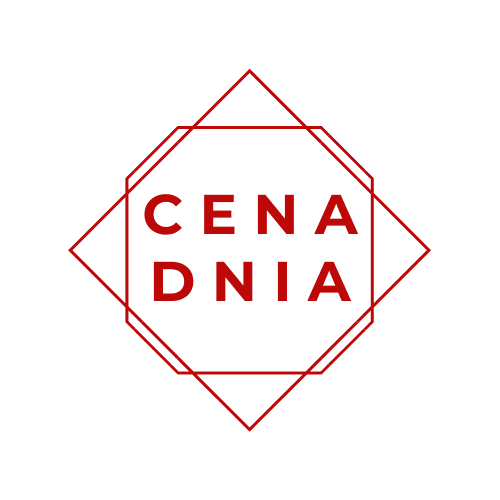 CENA DNIA – oferta bezzwrotna basic bez śniadania