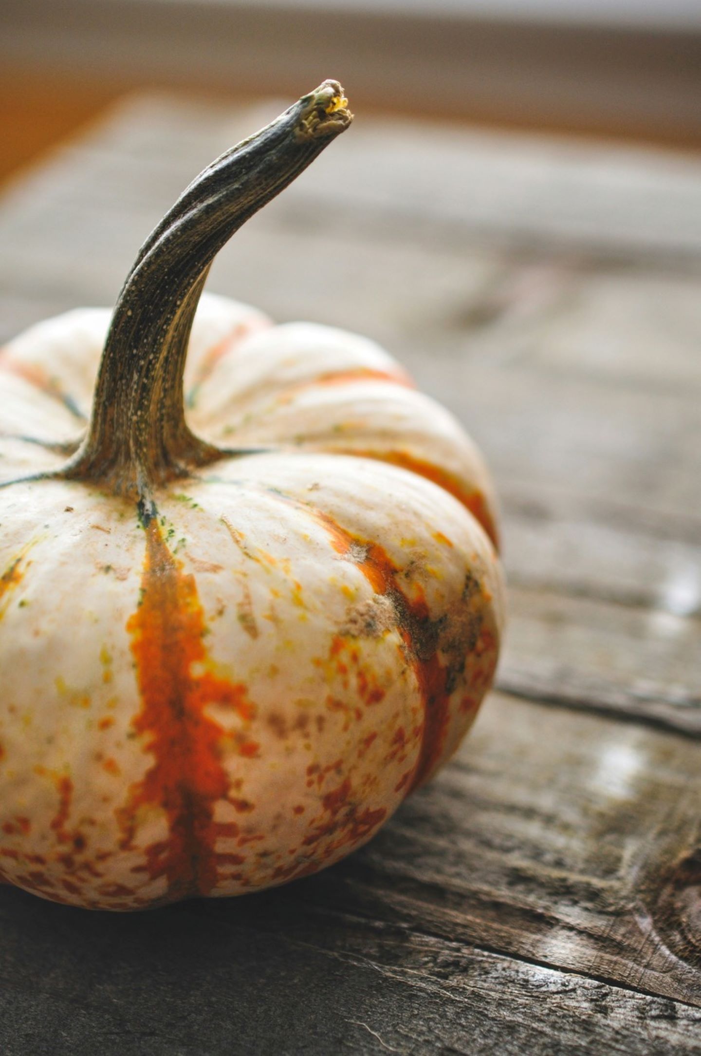 Długi weekend listopadowy – 3+1 gratis