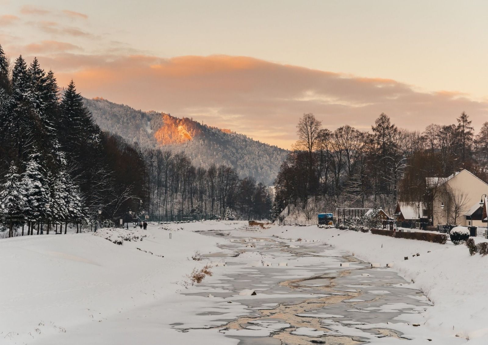 Cena dnia – oferta elastyczna