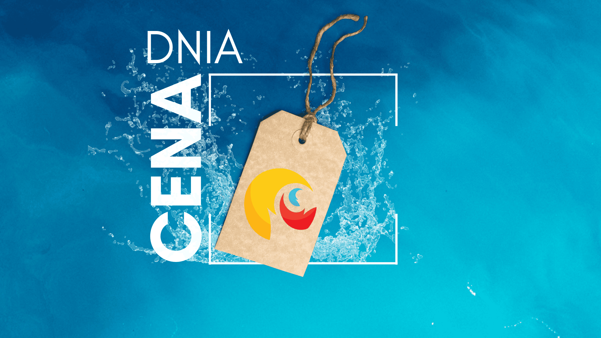 CENA DNIA – Oferta Standard